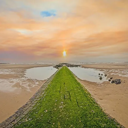 Seaside With Stunning Views アパート