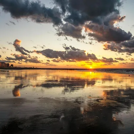 Seaside With Stunning Views アパート